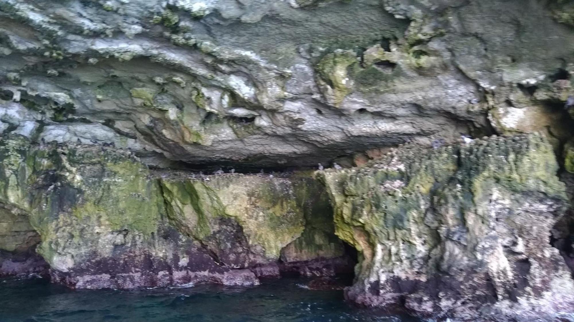 Le Ninfe Del Mare Acomodação com café da manhã Polignano a Mare Exterior foto